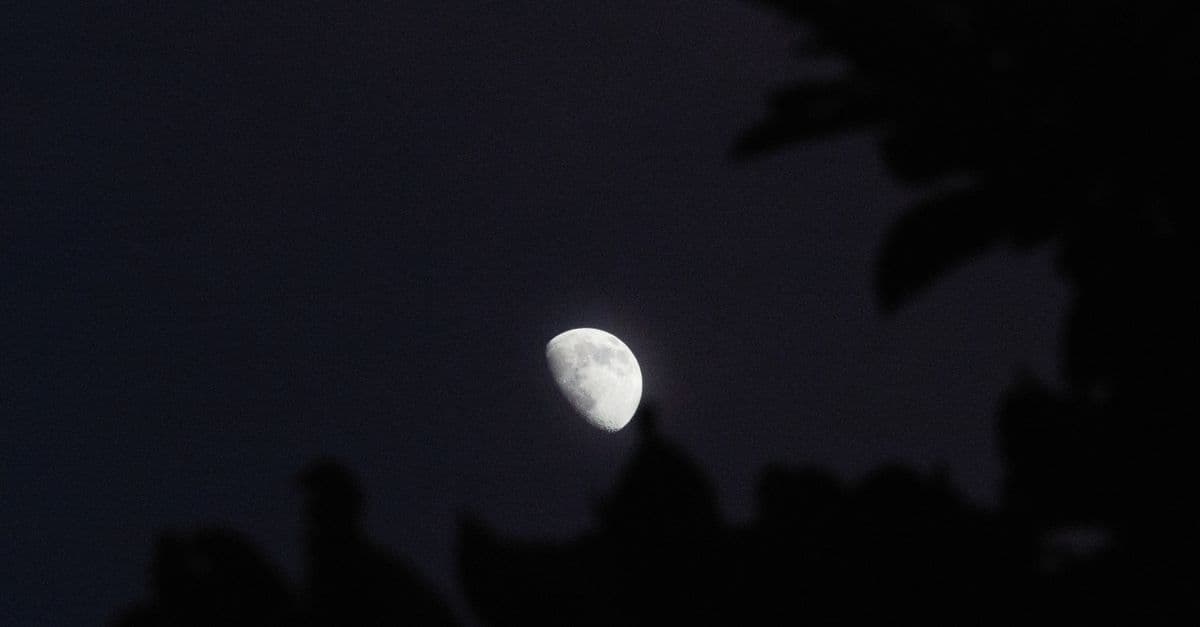 Yıldız haritası ve gök cisimlerinin işaretlendiği astroloji temalı çizim